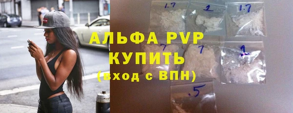 индика Белокуриха