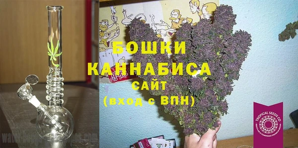 индика Белокуриха