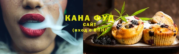 индика Белокуриха
