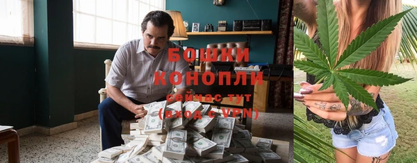 индика Белокуриха
