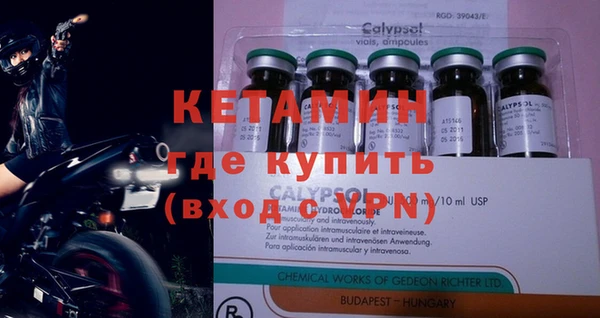 индика Белокуриха