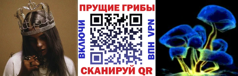 Псилоцибиновые грибы MAGIC MUSHROOMS  купить наркотики цена  площадка как зайти  Можайск 